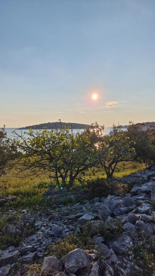 Villa Maneni Rogoznica  Esterno foto