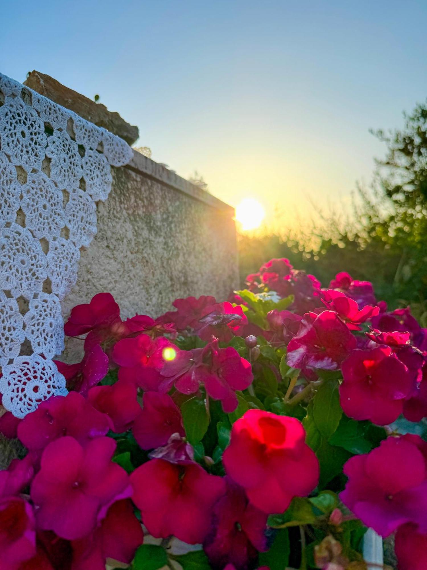 Villa Maneni Rogoznica  Esterno foto